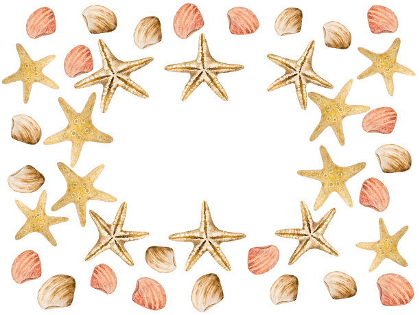 画海星和贝壳。漂亮的卡片。特写镜头图片下载