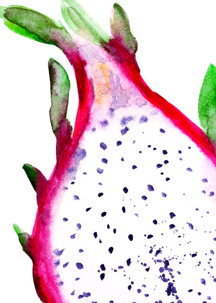 半火龙果鲜亮健康食品的例证图片下载