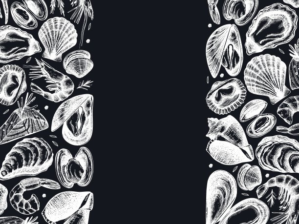 手绘海产品矢量设计在黑板上。图片下载