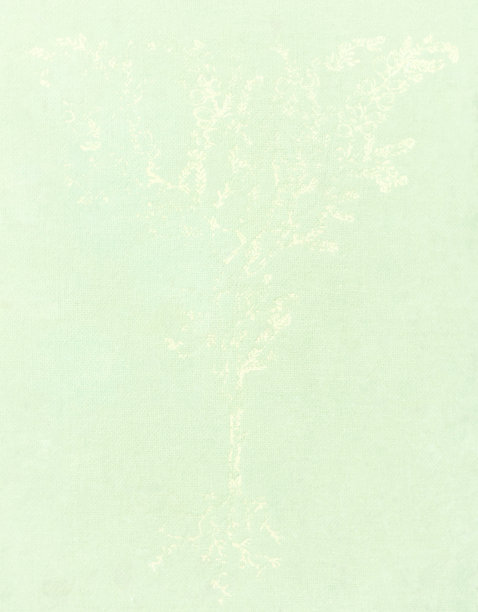 旧书封面背景。图片下载