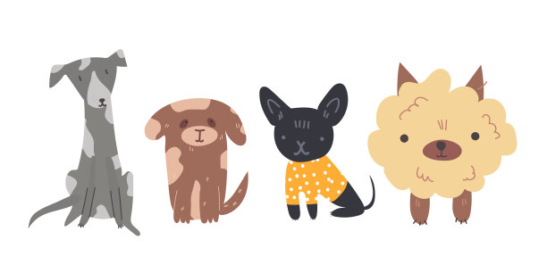 一群可爱可爱的毛茸茸的小狗坐在地上，等待着被可爱的主人收养。矢量卡通彩色孤立的平面插图在白色的背景图片下载