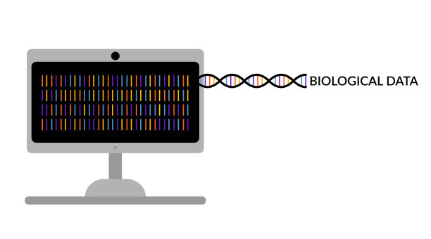 有生物数据和dna分子的电脑显示器。图片下载