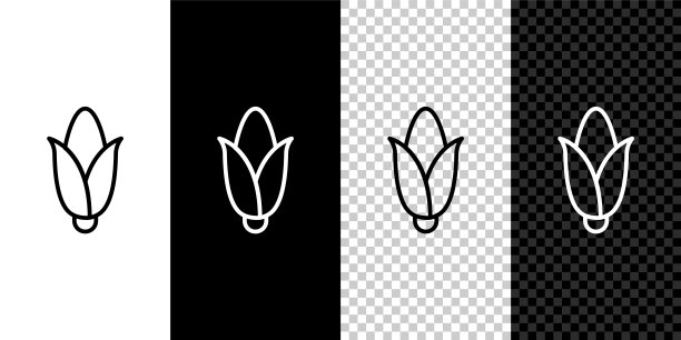 设置线玉米图标孤立在黑色和白色背景。向量图片下载