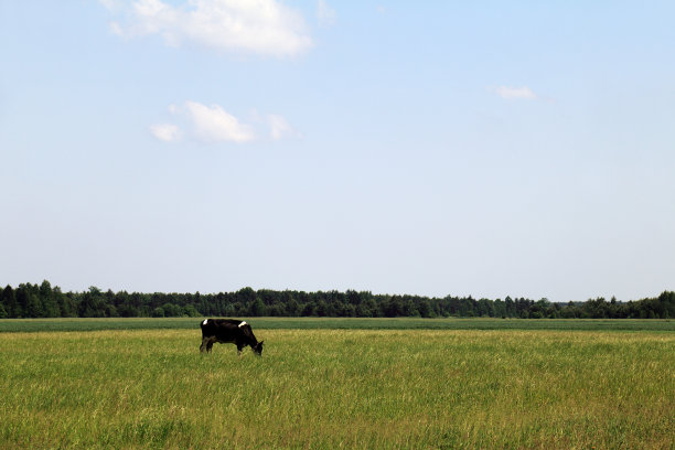 夏天农村景观图片下载