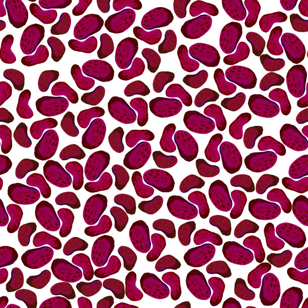 黑豆无缝图案，手绘插图图片下载