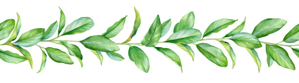 无缝模式与水彩嫩枝与绿色的叶子素材图片