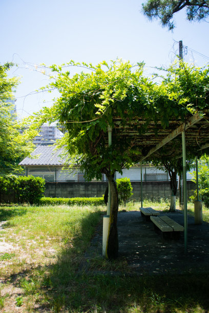 郊野公园和石凳图片下载