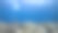 加勒比海碧绿的珊瑚礁海景/库拉索岛，有号子鱼，珊瑚和海绵图片下载