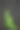 绿大麻丛生长在一个黑色的花盆从地面。黑色制服的背景。种植大麻的概念。照片的垂直方向。本空间图片下载