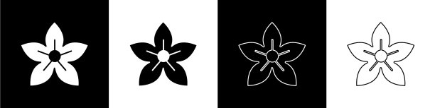 设置莲花图标隔离在黑色和白色图片下载