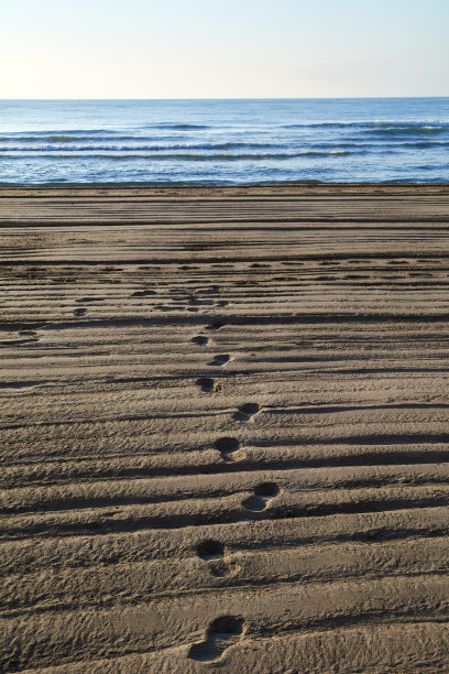 沙滩上的人类脚印图片下载