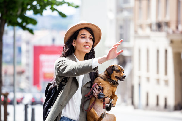 年轻女子牵着狗在街上挥手拦出租车。年轻的女性与有趣的狗伸出手臂，抓住出租车，而站在路边的城市图片下载