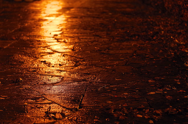 美丽的街道夜景图片下载