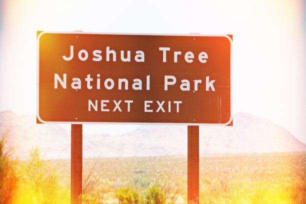 约书亚树国家公园图片下载