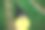 一个男人在和他的狗玩飞盘图片下载