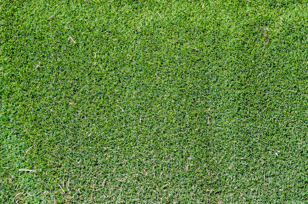 人造草皮纹理图片下载