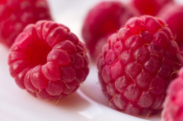 树莓在一个白色的碟子上近距离，微距照片图片下载