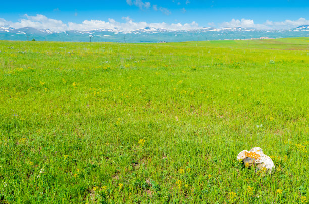 石头，田野和山脉-美丽而简洁的亚美尼亚风景图片下载