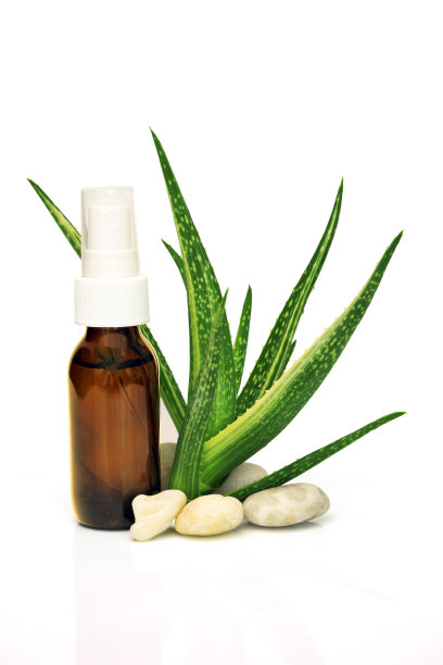 芦荟叶片和芦荟产品分离在白色背景与修剪路径。图片下载