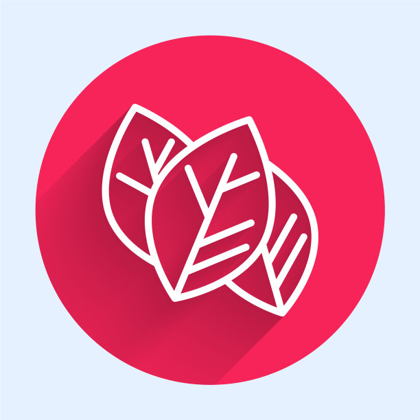 白色线叶子图标孤立与长影子图片下载