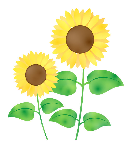 向日葵在水彩风格的插图图片下载