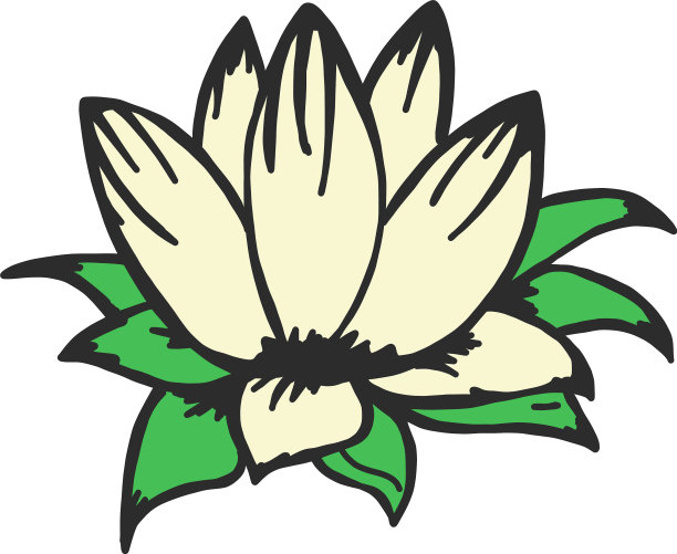 素描风格的荷花图片下载