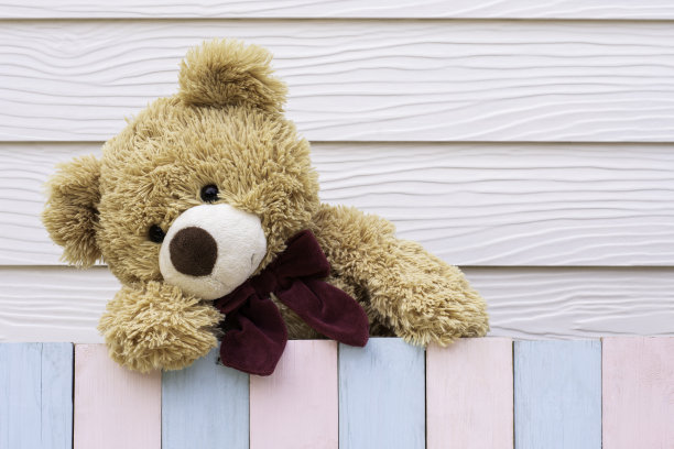 这只熊图片下载