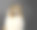 粗糙的柯利犬肖像图片下载