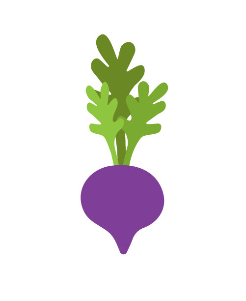 矢量手绘涂鸦卡通甜菜根图片下载