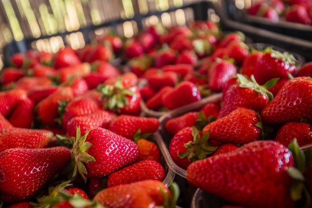 夏天的好处图片下载