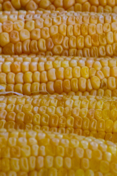 黄色玉米背景照片：抽象背景，丰收季，健康有机营养，玉米棒，金色纹理壁纸，新鲜谷物，美味蔬菜，素食图片下载