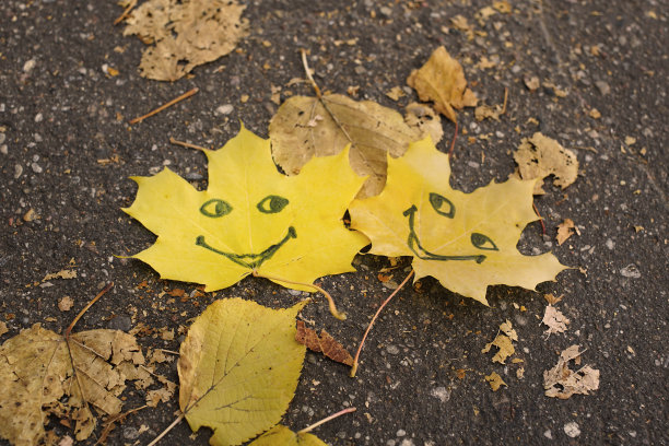 秋叶含笑落在公园的柏油路上图片下载