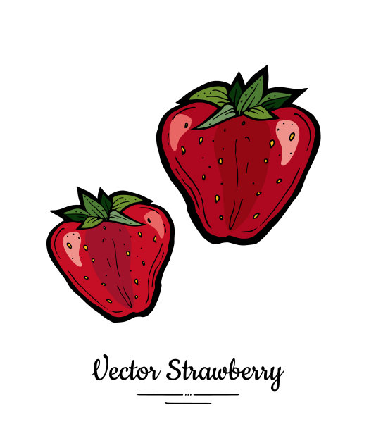草莓孤立红莓手绘图片下载