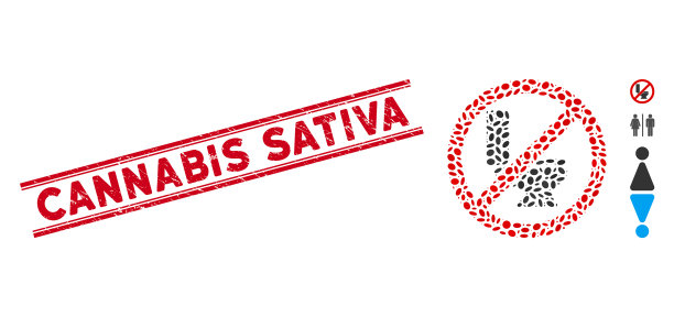 窘迫大麻sativa线密封与拼贴号图片下载