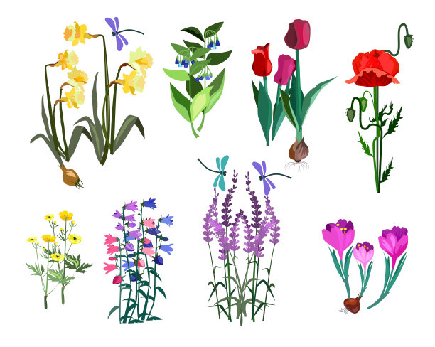 一套春花图片下载