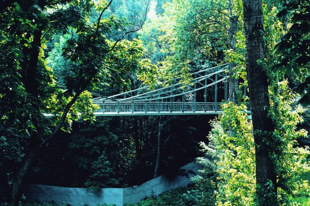 铁桥周围是一片宁静的森林图片下载