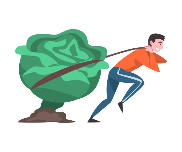 女孩拉着大白菜头，女农民用天然有机蔬菜矢量插图图片下载