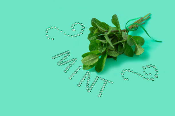 一束薄荷和题词水滴图片下载