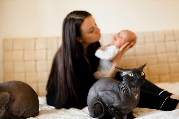 年轻的母亲抱着婴儿和斯芬克斯猫坐在旁边图片下载