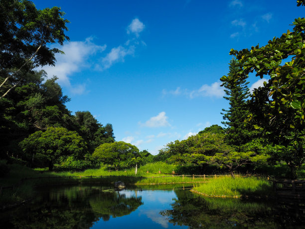 安静的池塘图片下载