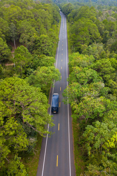 高角度的照片从无人机的道路通过绿色松树林在泰国，亚洲。图片下载