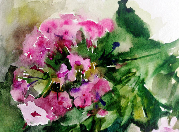 抽象鲜艳的装饰背景。手工花卉图案。美丽温柔浪漫的春天一束夹竹桃花图片下载