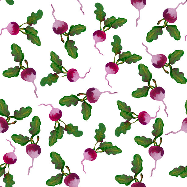 萝卜无缝图案，蔬菜手绘插图图片下载