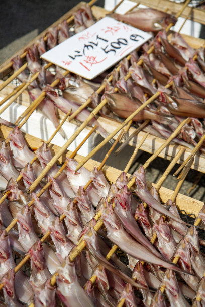 日本传统干鱼图片下载