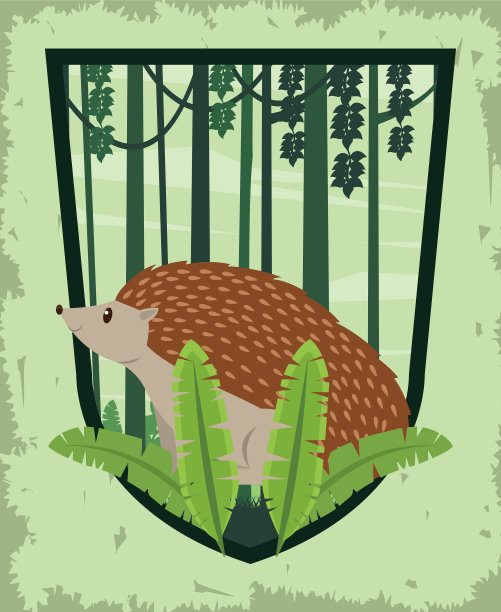 可爱的小犰狳动物性格图片下载