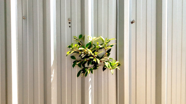 墙施工图片下载