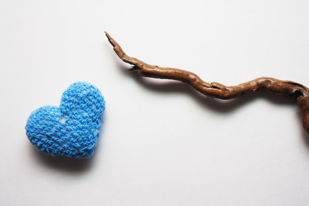 蓝色针织心和干燥的漆树枝在浅灰色背景与复制空间。情人节快乐。图片下载