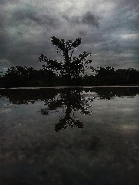 水反射图片下载