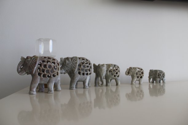 走向未来图片下载