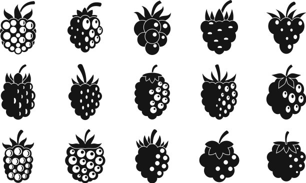 美味的黑莓图标设置简单的风格图片下载